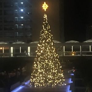 Meet your Posher, Aimee